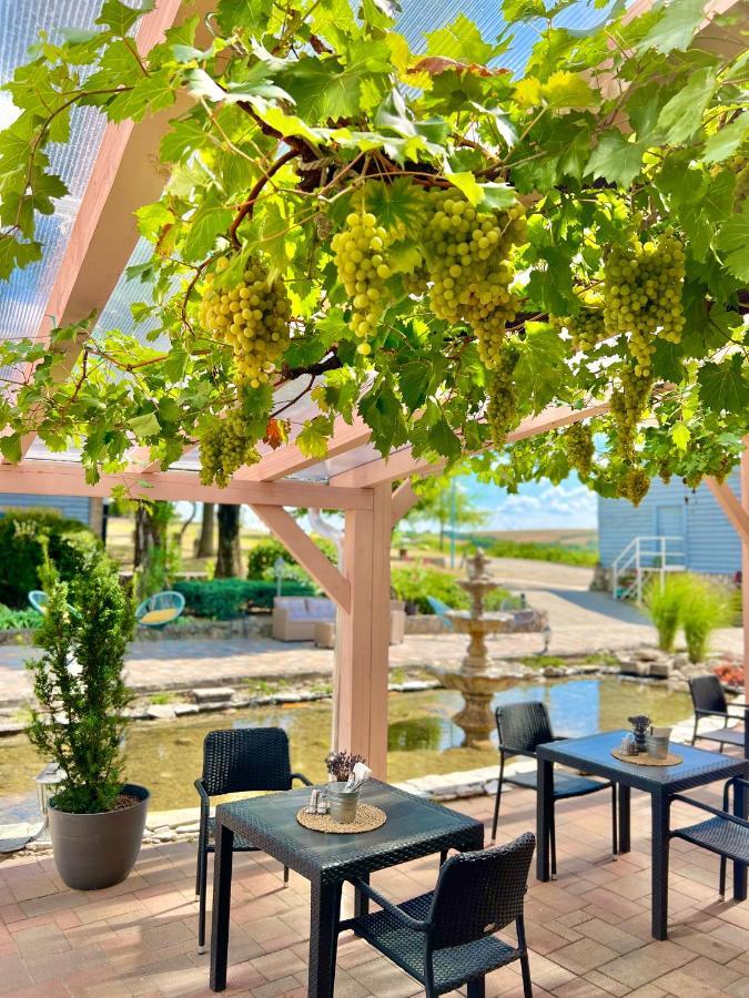 Neszmély Hilltop Borbirtok & Etterem酒店 外观 照片