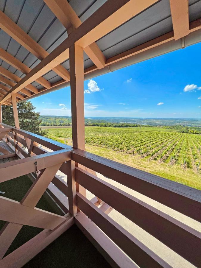 Neszmély Hilltop Borbirtok & Etterem酒店 外观 照片