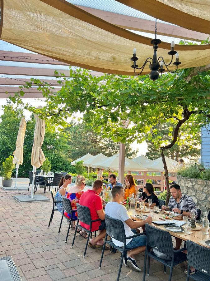 Neszmély Hilltop Borbirtok & Etterem酒店 外观 照片