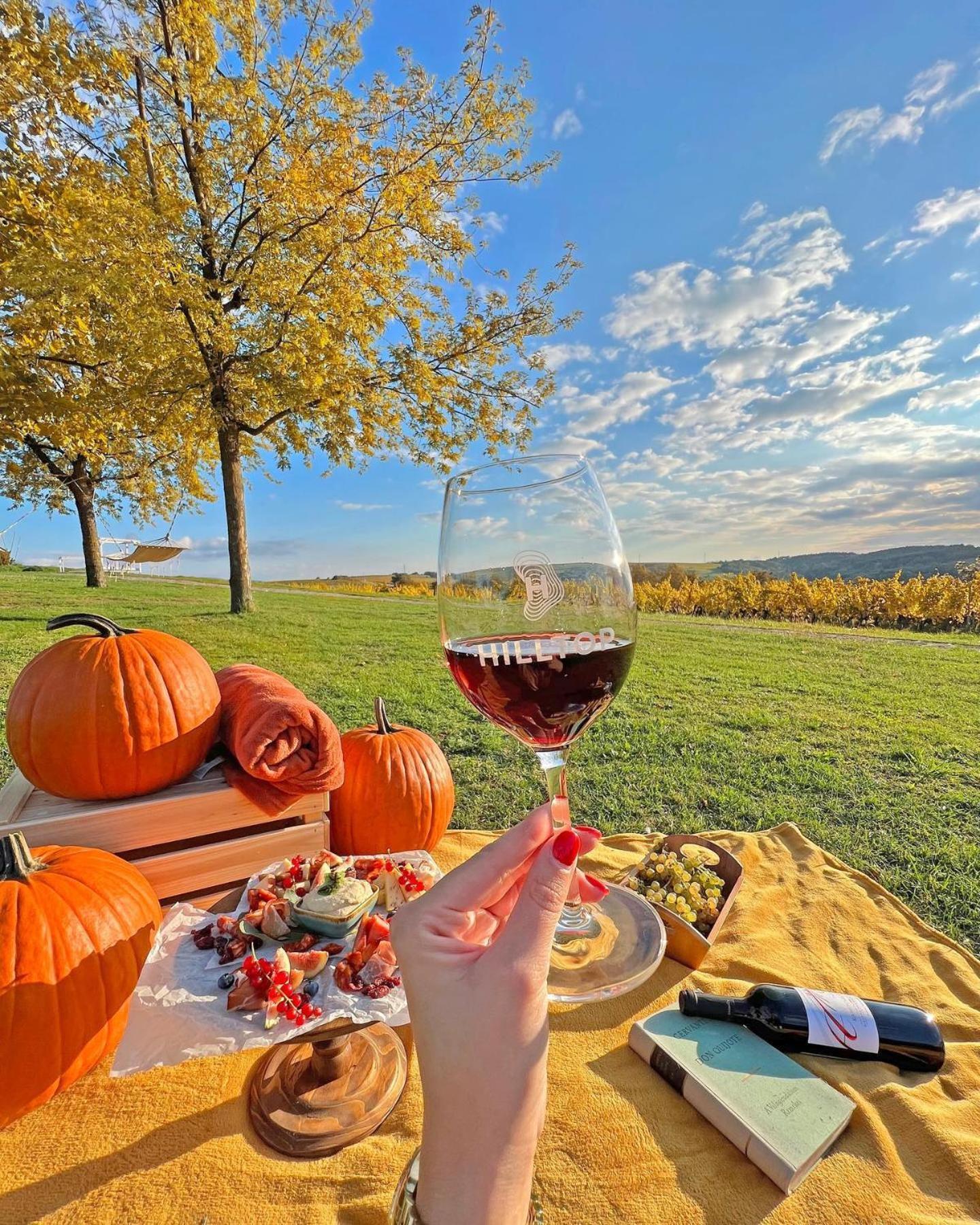 Neszmély Hilltop Borbirtok & Etterem酒店 外观 照片